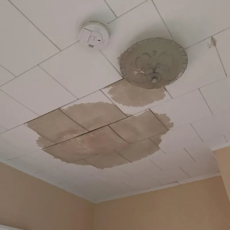 Ceiling Water Damage Repair in Panama, OK