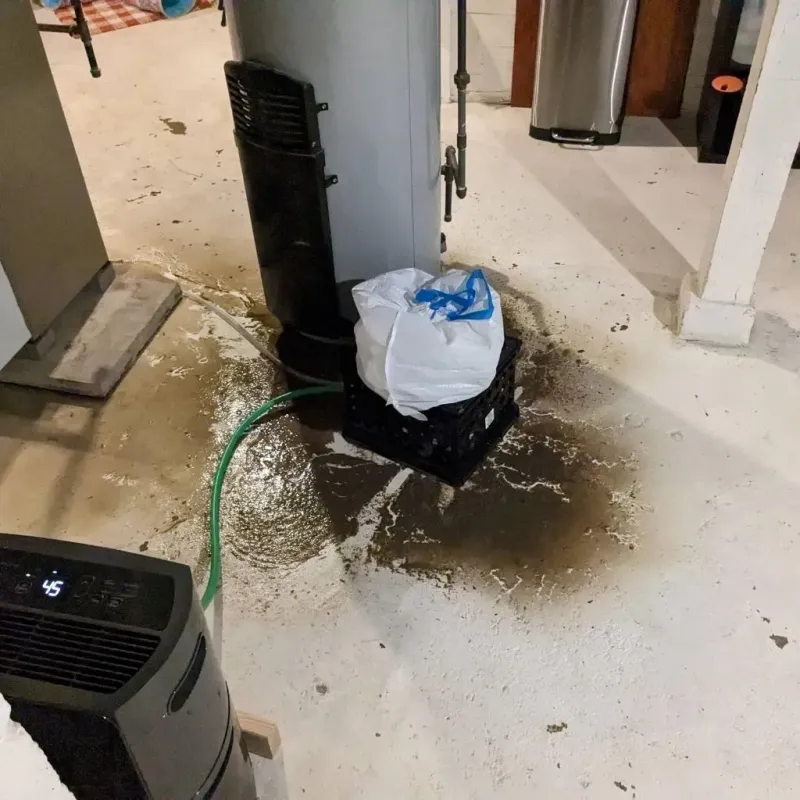 Sewage Backup Cleanup Service in Panama, OK